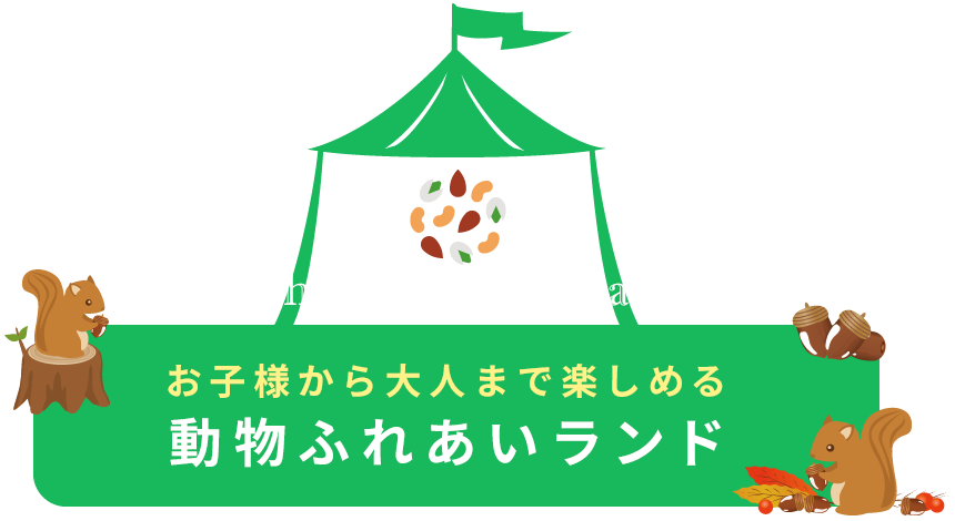 お子様から大人まで楽しめる動物ふれあいランド　Machida Squirrel Garden.