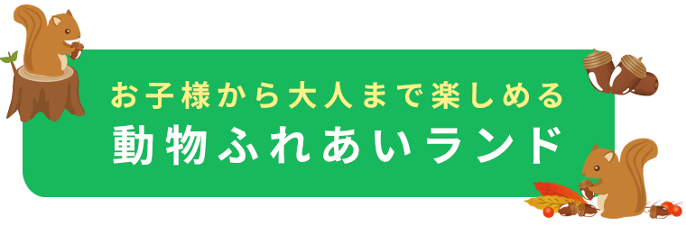 お子様から大人まで楽しめる動物ふれあいランド　Machida Squirrel Garden.